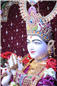 Abhishek (205).jpg